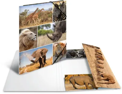 Produktbild von Sammelmappe A4 Pappe Afrika Tiere Packung mit 3 Stück