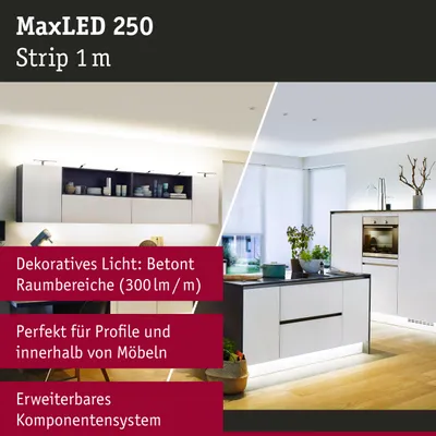 Immagine prodotto di MaxLED Strip 250 Bianco 1m striscia singola CCT dimmerabile Bianco