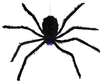 Produktbild von Schwarze sich abseilende Riesenspinne, KI-generiertes Bild