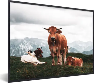 Produktbild von MuchoWow® Gerahmtes Poster Tiere - Kuh - Berg 80x60 cm - Poster mit Schwarzem Bilderrahmen Wandposter Rahmen Foto Bilder - Schwarzem - Mit Gestell