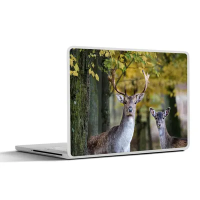 Produktbild von MuchoWow® Laptop Aufkleber Sticker Cover Hirsche - Tiere - Baum 31x22.5 cm - Laptop-Deko