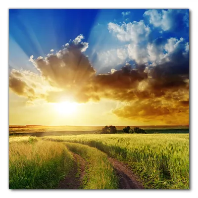 Produktbild von Wallario selbstklebende Möbelfolie/ Tischdecke für Innen und Außen, Größe: 60 x 60 cm - Feldweg in den Sonnenuntergang