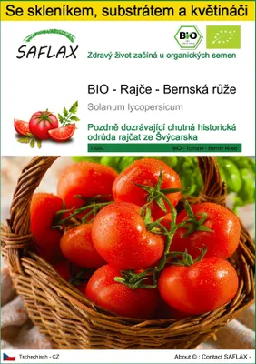 Obrázek produktu pro SAFLAX Kultivační sada - BIO - Rajče - Bernská růže - Solanum lycopersicum - 10 Semena - S mini skleníkem, pěstebním substrátem a 2 květináči