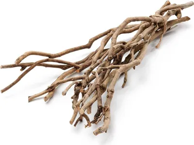 Produktbild von Tee Busch Zweige natur ca. 50cm | Dekozweig