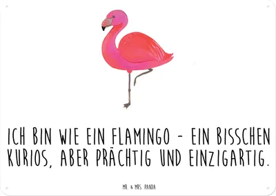 Produktbild von Mr. & Mrs. Panda tafel Flamingo Classic DIN A3 - Weiß - Geschenk, Freundin, Rosa, Magnetschild, Wandbild, Blechschild, Türschild, Prächtig, Spruch, Schild, Stolz, Ich