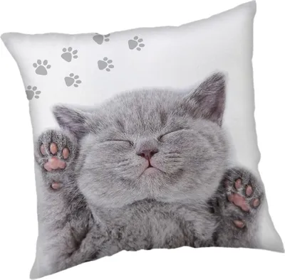 Obrázok produktu pre Jerry Fabrics Plyšový vankúš Dekoračný vankúš s mačkou 40 x 40 cm