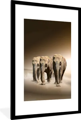 Produktbild von MuchoWow® MuchoWow® Gerahmtes Poster Elefanten - Tiere - Nebel 60x90 cm - Poster mit zchwarzem Bilderrahmen - Dekoration - Wandposter Wohnzimmer - Hochwertig