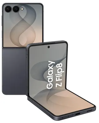 Image de Samsung Galaxy Z Flip8 17,5 cm (6.9") Double SIM 5G USB Type-C 12 Go 512 Go 4300 mAh Graphite