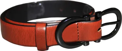 Image de Eastern Counties Leather Ceinture pour femme avec boucle EL243 (42 FR) (Rouge clair)
