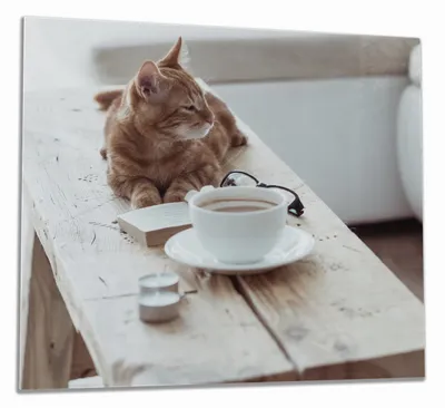 Produktbild von Wallario Herdabdeckplatte aus Glas, Größe 60 x 52 cm 1-teilig, Motiv Süße rot getigerte Katze beim Kaffee