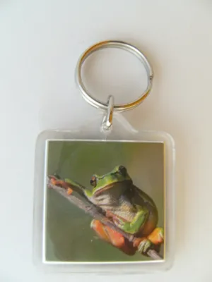 Produktbild von Schlüsselanhänger Frosch, Tiere Tier Schlüsselring Rucksackanhänger Frösche