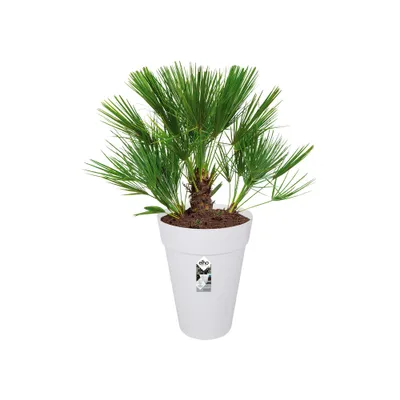 Produktbild von Elho Greenville Rund 40 - Blumentopf - Laubgrün - Außen - Ø 39 x H 36.8 cm