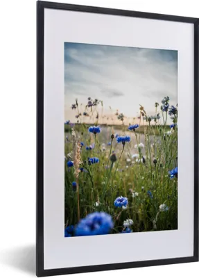 Produktbild von MuchoWow® MuchoWow® Gerahmtes Poster Blumen - Sommer - Kornblume - Blau - Sonne - Wolken 40x60 cm - Poster mit zchwarzem Bilderrahmen - Poster in Rahmen