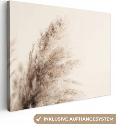 Produktbild von MuchoWow® - Leinwandbilder - Pflanzen - Pampaswedel - Pampasgras - Beige - Natur, Wandbild, Wanddeko Bilder Wohnzimmer, 80x60 cm