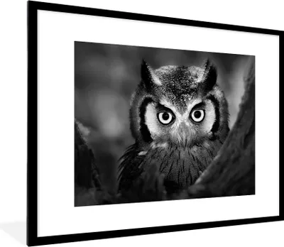 Produktbild von MuchoWow® Gerahmtes Poster Vogel - Eule - Porträt - Schwarz - Weiß 80x60 cm - Poster mit Schwarzem Bilderrahmen Wandposter Rahmen Foto Bilder - Schlafzimmer-Dekorationen - Fotoposter