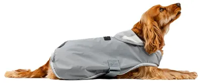 Image de Horseware Newmarket Dog Coat - Taille L - Gris