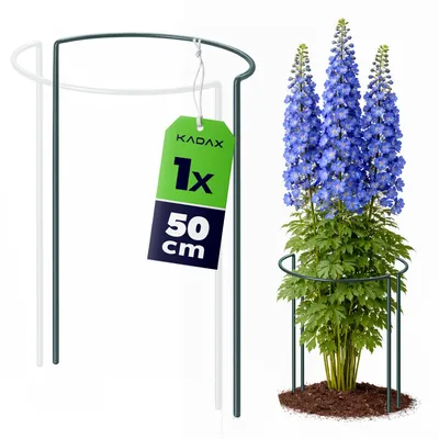 Produktbild von KADAX Pflanzenstütze 50 cm Höhe, 1 Stück, Staudenstütze aus pulverbeschichtetem Stahl, Pflanzenhalter für Stauden, Pfingstrosen & Hortensien (Halbrund)