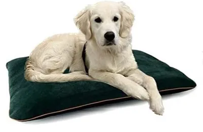 Image de Coussin pour chien 90 x 60 - M - Vert
