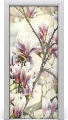 Produktbild von Tulup Türaufkleber 95x205 cm Dekorative Aufkleber Selbstklebend Wasserdichte Tapete Abnehmbar Schlafzimmer Wohnzimmer Wohnkultur - Magnolia