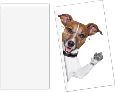 Produktbild von Spritzschutz Herdabdeckplatte Schneidebrett aus Glas Hund sagt Hallo 2-Teilig (60x52cm)