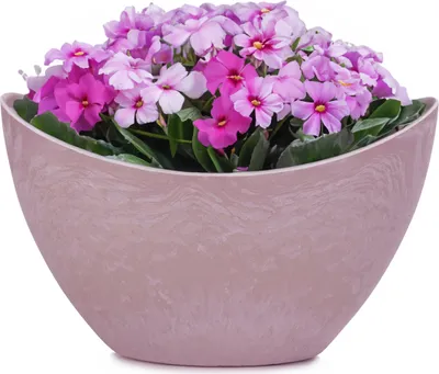 Produktbild von Pflanzschale oval 24 cm für draussen Dekoschale alt-rosa marmoriert