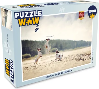 Obrázek produktu pro MuchoWow MuchoWow® Puzzle 1000 ks Pes - větev - písek