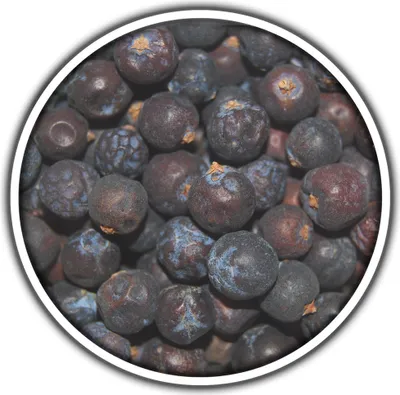 Produktbild von Wacholderbeeren 65 Gr. Dose