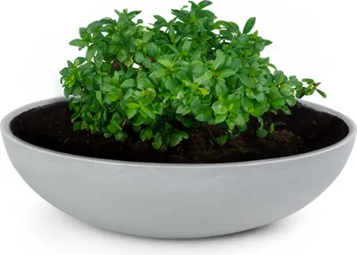 Produktbild von Runde bauchige 30 cm Pflanzschale für draussen, hell-grau marmoriert