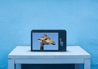 Produktbild von hansepuzzle 78330 - Giraffe Puzzle, 130 Teile, Natur, 28,7 x 20,0cm mit hochwertiger Aufbewahrung, Kartonbox und wiederverschließbarem Beutel