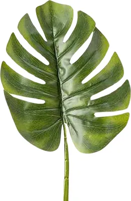 Produktbild von Boltze Gruppe Blatt grün 75 cm