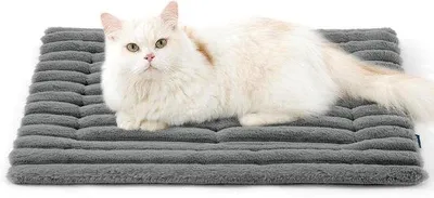 Immagine prodotto di Tappetino per cani in pile, lavabile, con fondo antiscivolo, 61x45 cm, grigio
