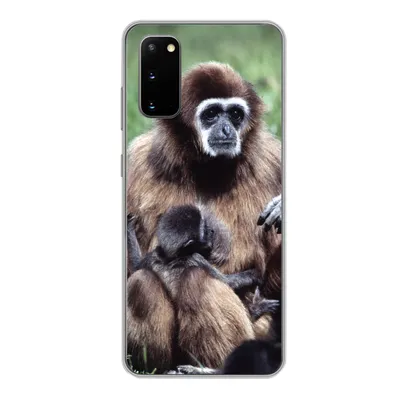Produktbild von MuchoWow® Handyhülle Schutzhülle Hülle für Samsung Galaxy S20 Affe - Pflanzen - Jung Silikon Softcase Handy Hülle - Bild