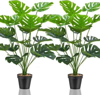 Image de Set de plantes artificielles pour le bureau et la maison - Pack de 2 tailles L Monstera et S Palmier