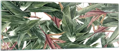 Produktbild von Bilder auf glas - Pflanze Blatt Blume - 140x50cm - Glasbilder - Wandbilder - Kunstdruck - zum Aufhängen bereit - Wanddekoration aus Glas - Glas Bilder - Wandbild auf Glas - Einteilig - GAB140x50-3844
