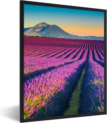 Produktbild von MuchoWow® Gerahmtes Poster Lavendel - Berg - Blumen 60x80 cm - Poster mit Schwarzem Bilderrahmen Wandposter Rahmen Foto Bilder - Premium - Wanddeko Wohnzimmer