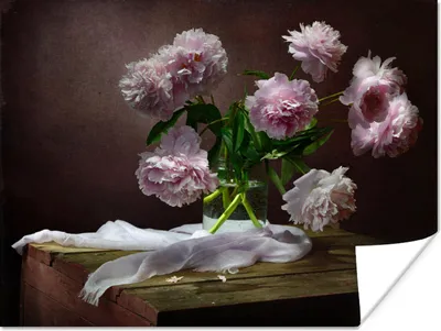 Produktbild von MuchoWow® Poster Pfingstrosen - Stilleben - Blumen 80x60 cm - Kunst für zu Hause