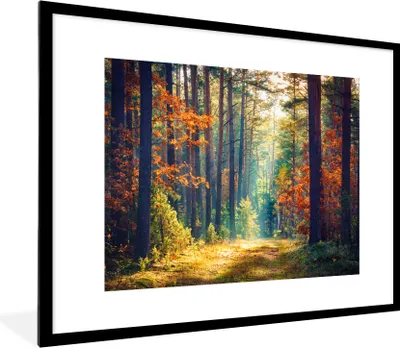 Produktbild von MuchoWow® Gerahmtes Poster Wald - Sonne - Natur - Herbst 80x60 cm - Poster mit Schwarzem Bilderrahmen Wandposter Rahmen Foto Bilder - Schlafzimmer-Dekorationen - Fotoposter