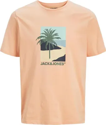 Produktbild von Jack & Jones Barbados Kurzarm-t-shirt Orange S Herren Orange S