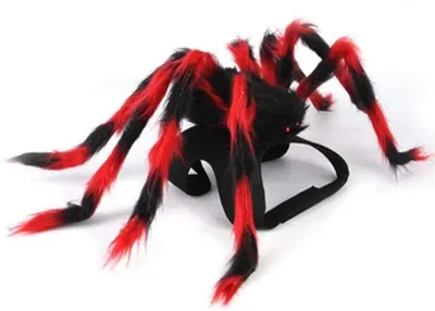 Immagine prodotto di Costume da ragno per animali domestici, taglia M-2
