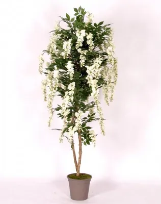 Produktbild von artplants.de Künstlicher Blauregen MALENKA, Natürliche Stämme, mit Blüten, weiß, 200cm - Italy - Deko Blauregen