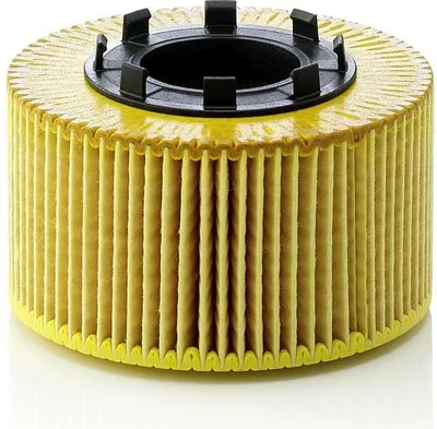 Immagine prodotto di Filtro olio MANN-FILTER HU 920 x