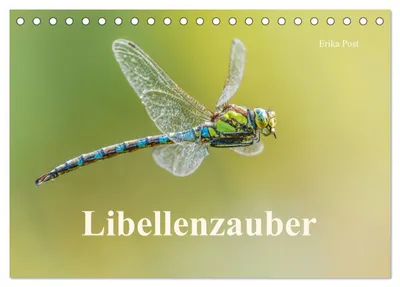 Produktbild von Libellenzauber (Tischkalender 2027 DIN A5 quer), CALVENDO Monatskalender
