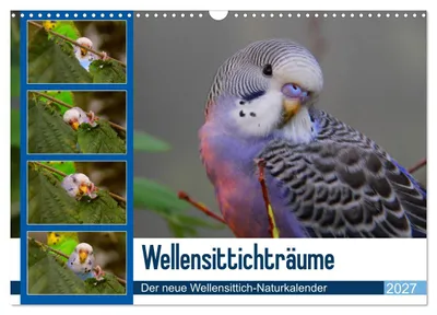 Produktbild von Wellensittichträume - Der e Wellensittich-Naturkalender (Wandkalender 2027 DIN A3 quer), CALVENDO Monatskalender
