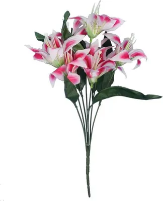 Produktbild von Strauß aus 7 hellrosa Lilien, 34 cm