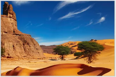 Produktbild von Wallario Wandbild In der Wüste Sahara, Größe: 61 x 91,50 cm, Poster mit weißem Aluminiumrahmen