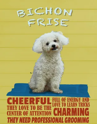 Produktbild von vianmo Holzschild 40x30 cm Hund Bichon Frise cheerful