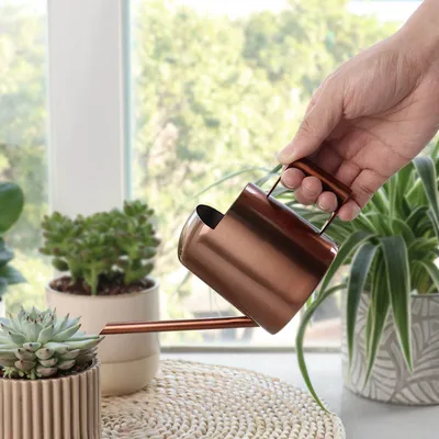 Produktbild von 1 Stück Gießkanne Edelstahl Metall langer Mund Mini Wasserkocher Gartenarbeit Bewässerung 300 ml für Topfpflanzen und zum Aufhängen (Bronze)