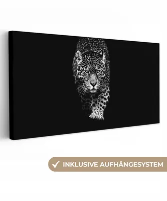 Obrázek produktu pro OneMillionCanvasses® - Plátna - Zvířata - Černá - Leopard - Bílý - Divoký, nástěnné umění, nástěnné dekorace Obývací pokoj, 80x40cm