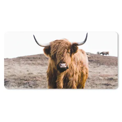 Produktbild von MuchoWow® Schreibtischunterlage Schottische Highlander - Landschaft - Kuh - Braun - Tiere - Natur 80x40 cm - XXL Mauspad - Gaming Mauspad