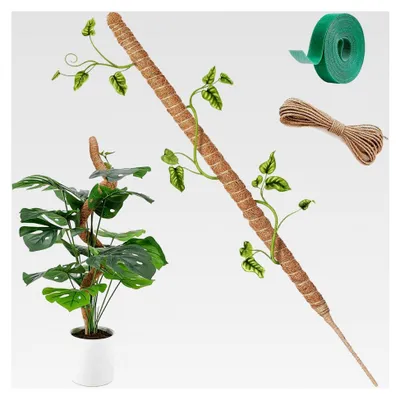 Produktbild von 120 cm Monstera Rankhilfe, Biegsamer Kokosstab mit 4m Fixseil